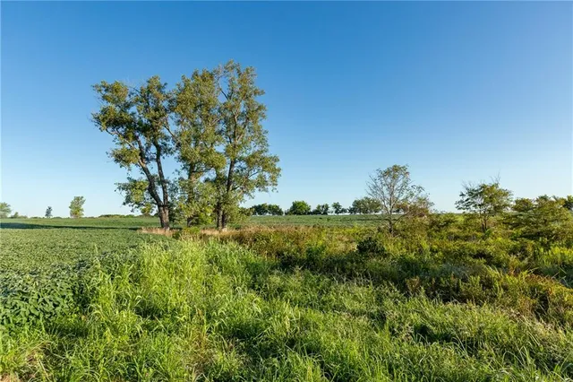 $608,000 | Southeast 401st Road, Leeton, MO 64761