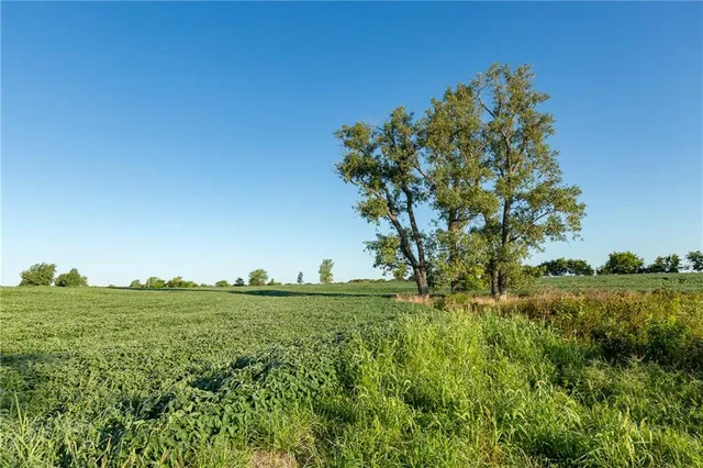 $608,000 | Southeast 401st Road, Leeton, MO 64761