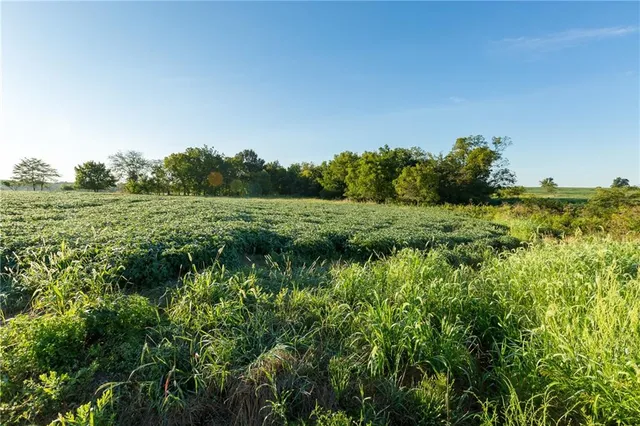 $608,000 | Southeast 401st Road, Leeton, MO 64761