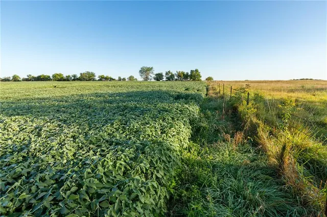 $608,000 | Southeast 401st Road, Leeton, MO 64761