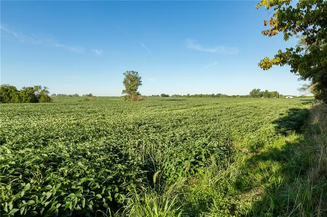 $608,000 | Southeast 401st Road, Leeton, MO 64761