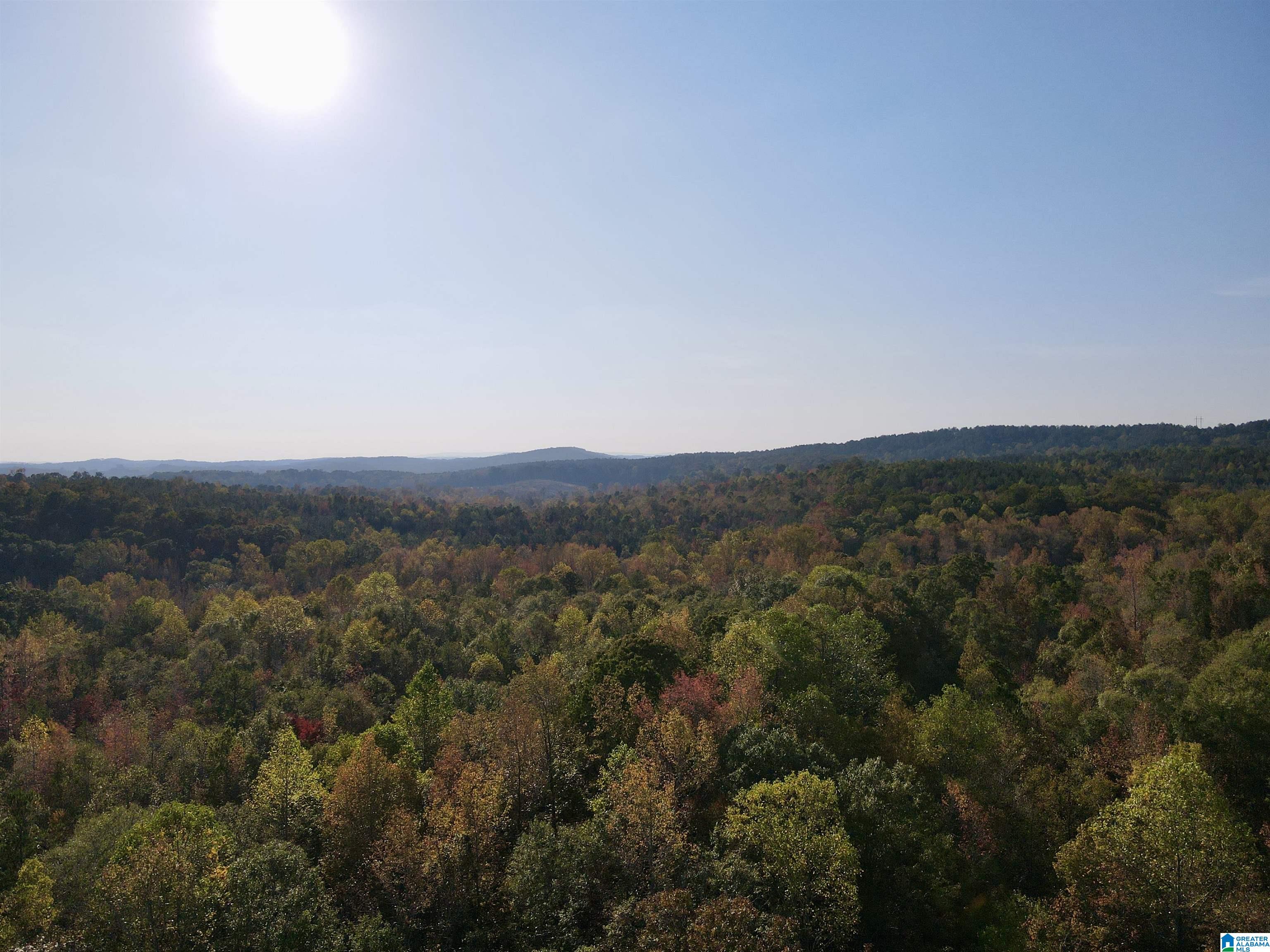 0 Peach Orchard Road Ashland, AL 36251 - Photo 3 of 14