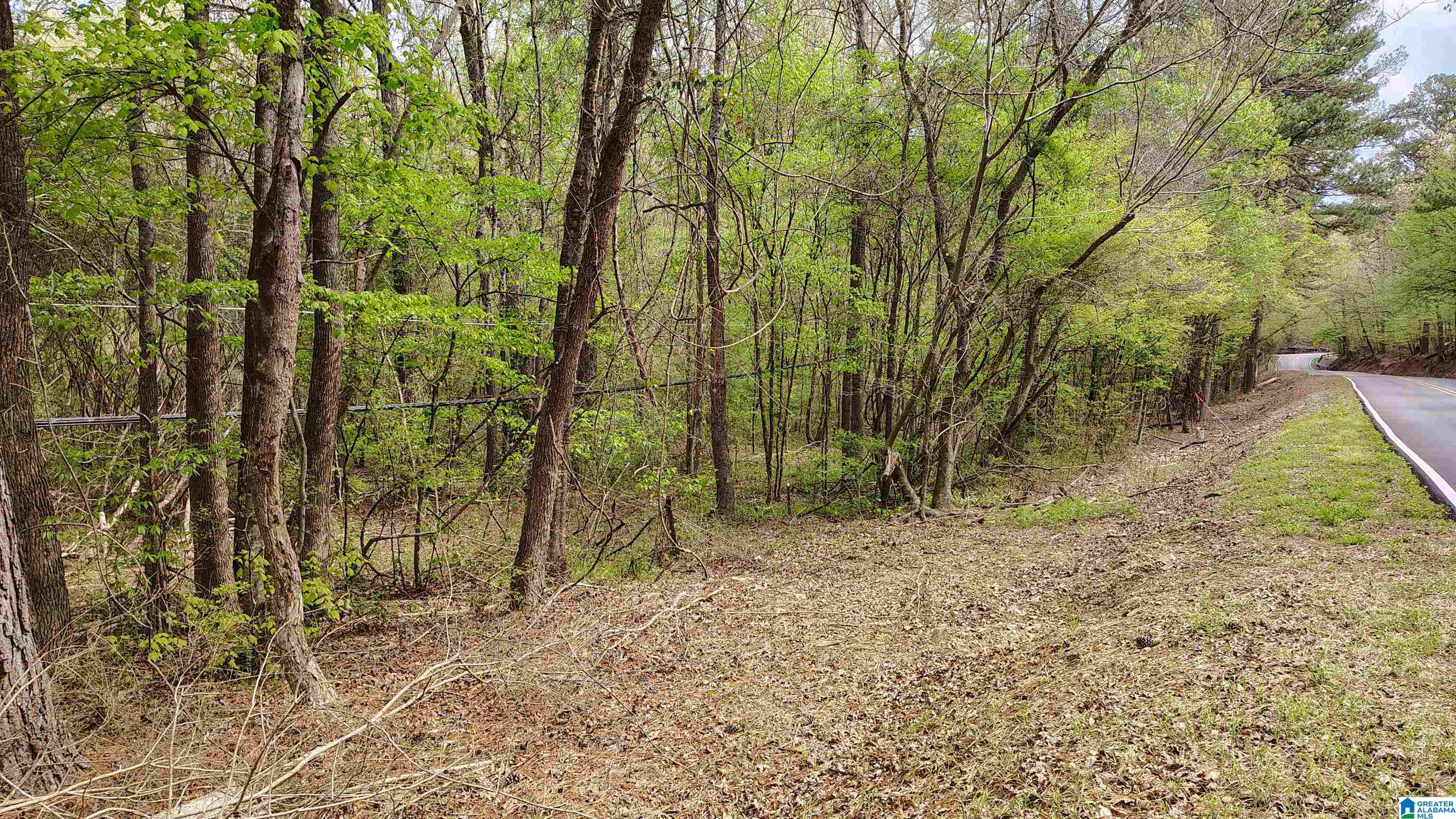 0 Glennwood Road, Unit 3 Morris, AL 35116 - Photo 7 of 25