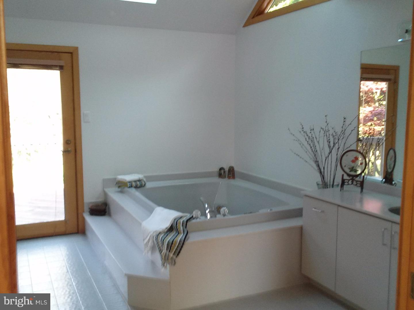 1259 Merrill Road West Chester, PA 19382 - Photo 13 of 22 Master Bathroom