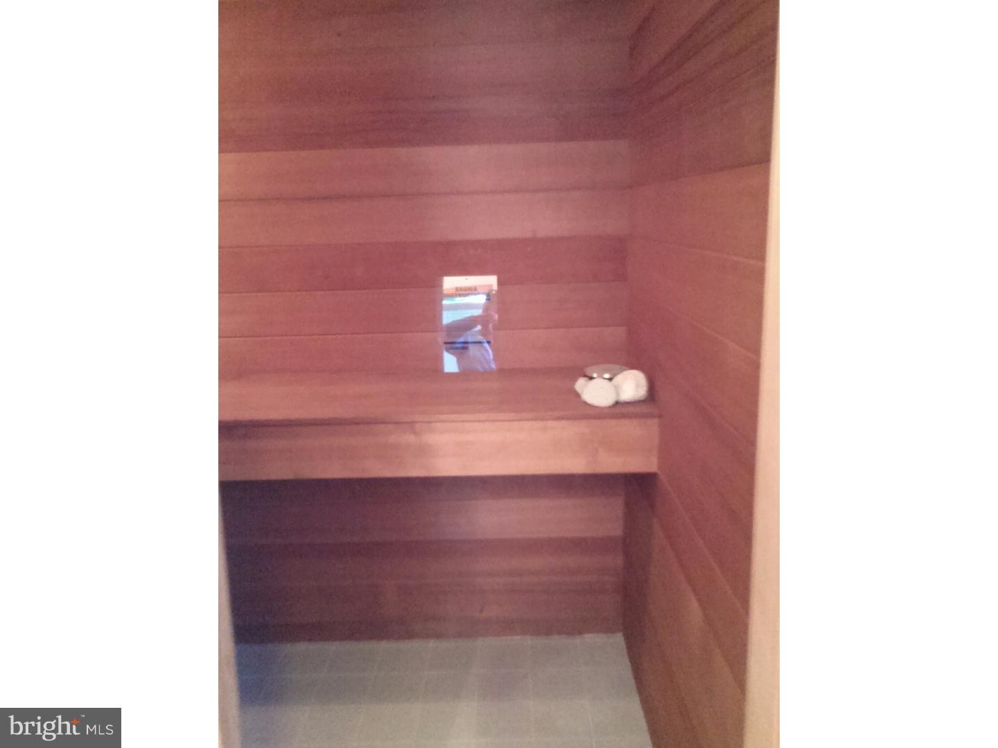 1259 Merrill Road West Chester, PA 19382 - Photo 14 of 22 Sauna