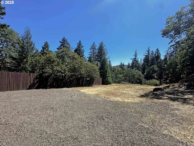 a view of outdoor space and yard