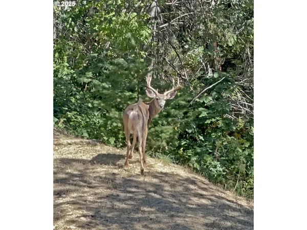 $265,000 | 4712 Old Highway 99 South, Ashland, OR 97520