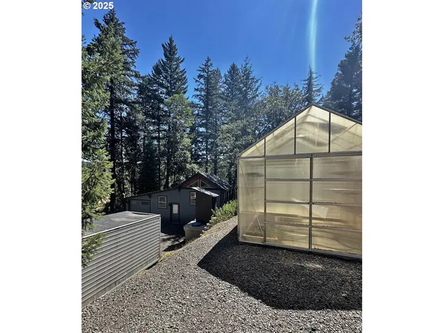 a view of a backyard