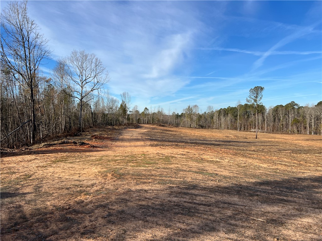 795 Fairs Road Abbeville, SC 29620 - Photo 3 of 14 Gallery Image 3