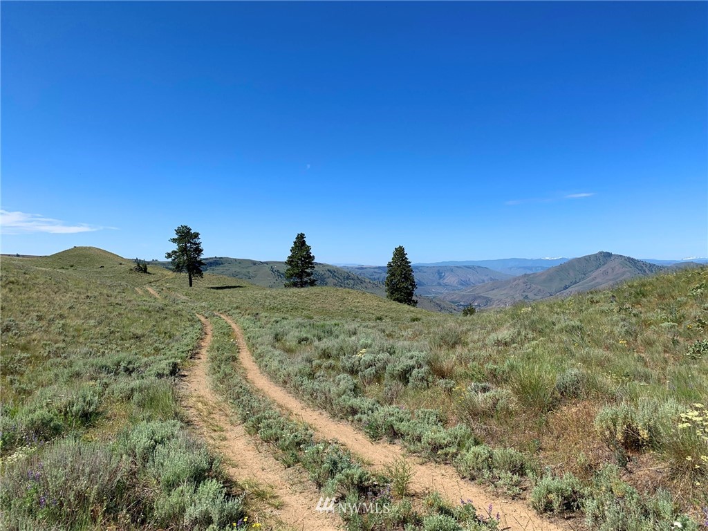 39 Spring Canyon Road Orondo, WA 98843 - Photo 5 of 9 a view of a sky view