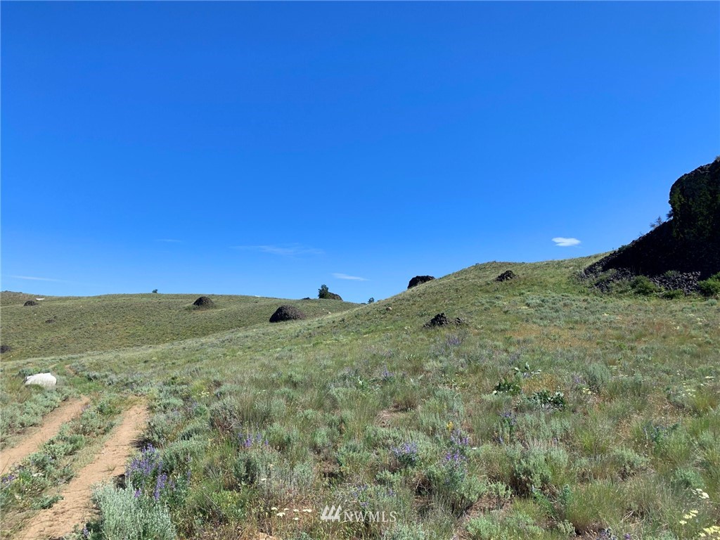 39 Spring Canyon Road Orondo, WA 98843 - Photo 6 of 9 a view of a field with an ocean