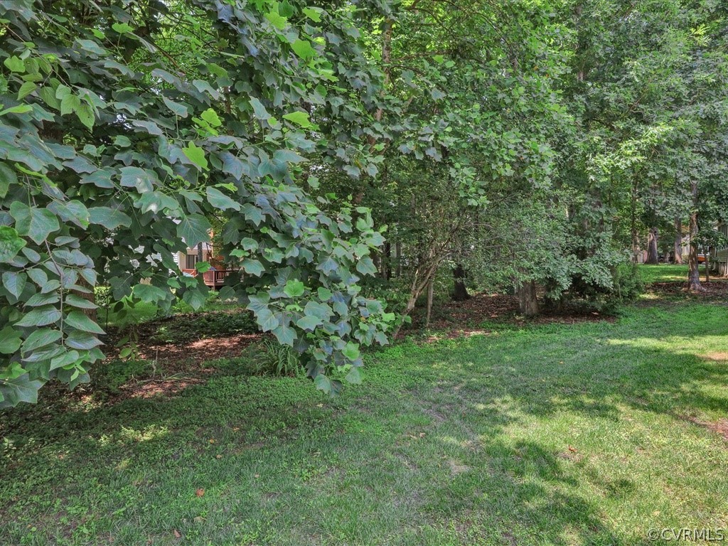 13804 Sandy Oak Road Chester, VA 23831 - Photo 30 of 31 a view of a yard with a tree