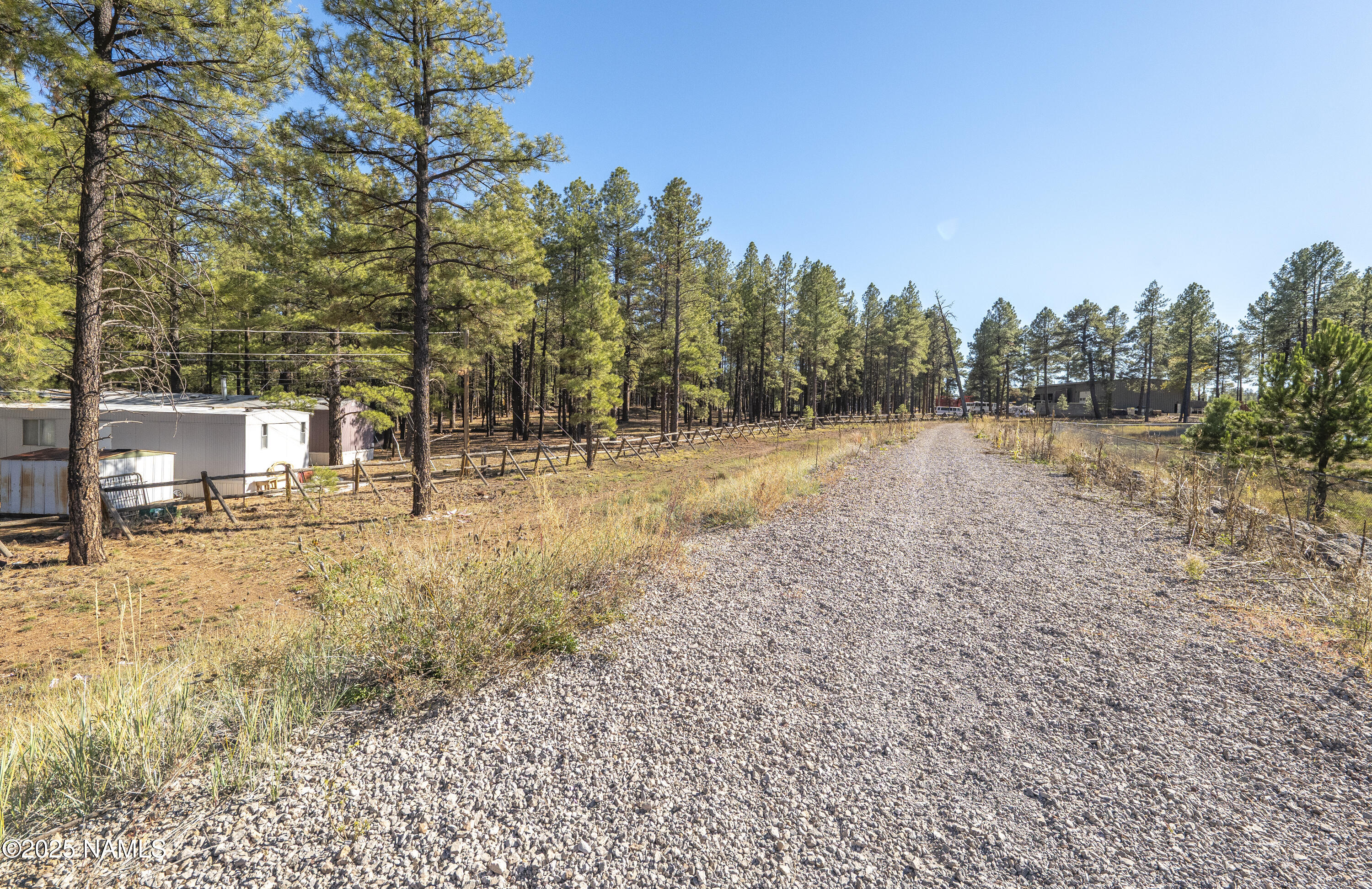 2500 West Rte 66, Unit 83 Flagstaff, AZ 86001 - Photo 23 of 24 a view of a yard with a tree