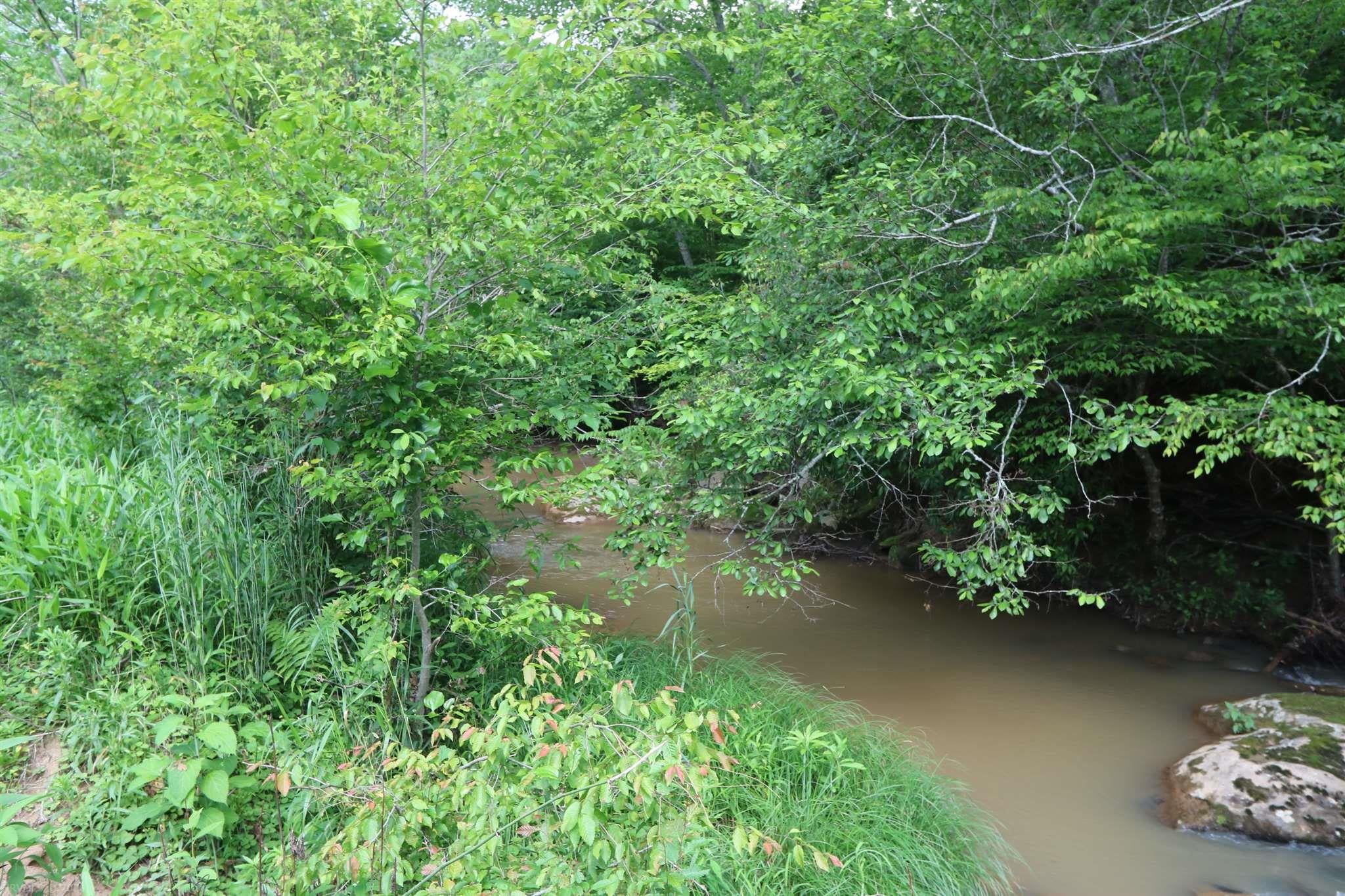 Tbd Carver Lee Road Ferrum, VA 24088 - Photo 9 of 11 Gallery Image 9