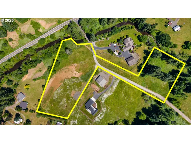 a black and white photo of a forest