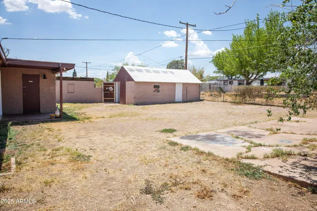 a spacious bathroom with a large tree in it
