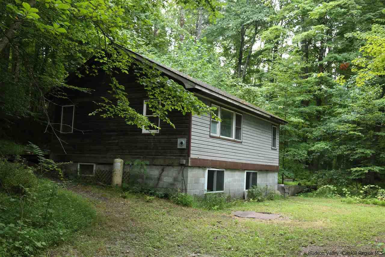 172 Bruceville Road High Falls, NY 12440 - Photo 1 of 10 a backyard of a house with plants and large trees