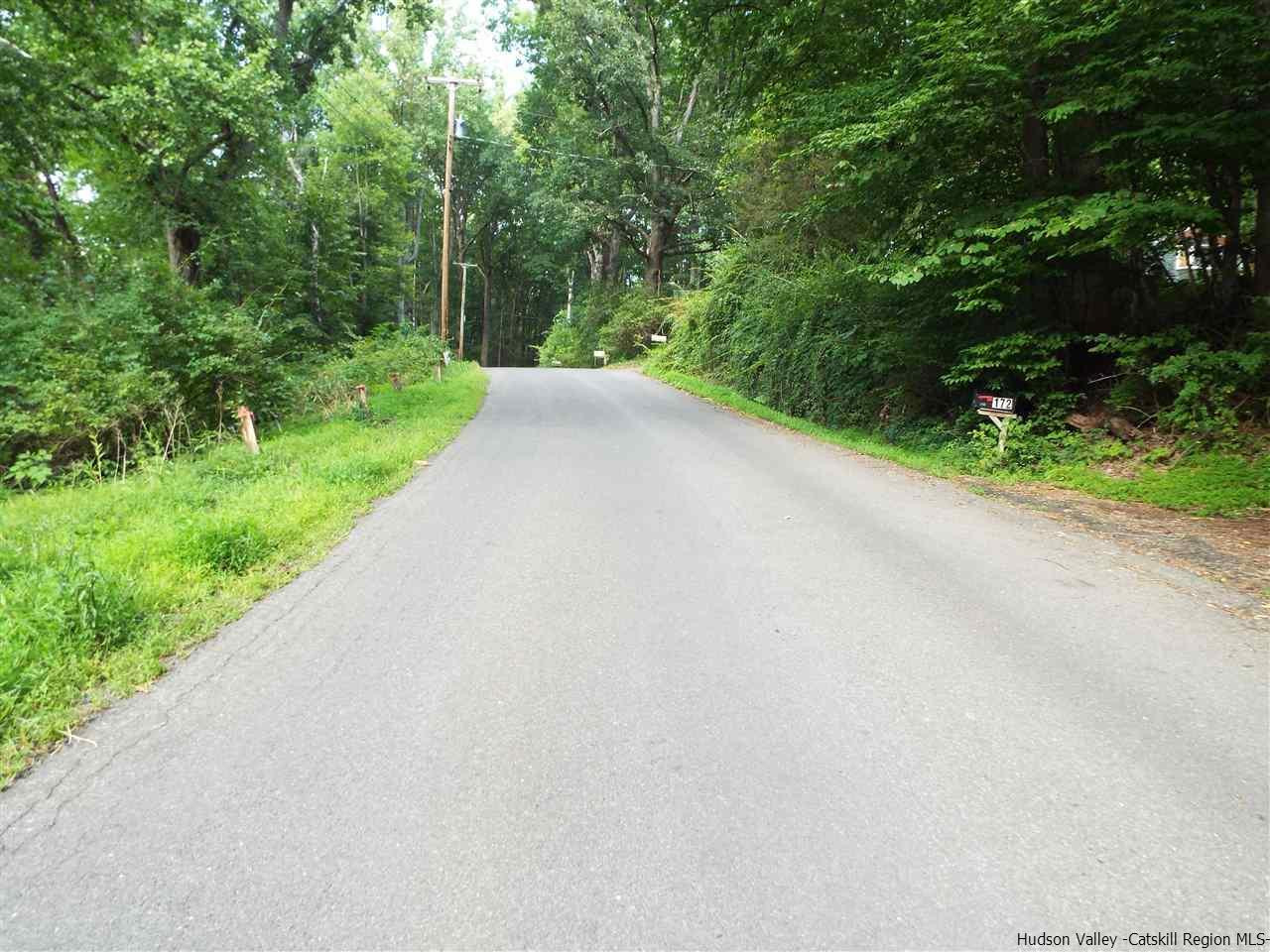 172 Bruceville Road High Falls, NY 12440 - Photo 10 of 10 a view of a road with a yard