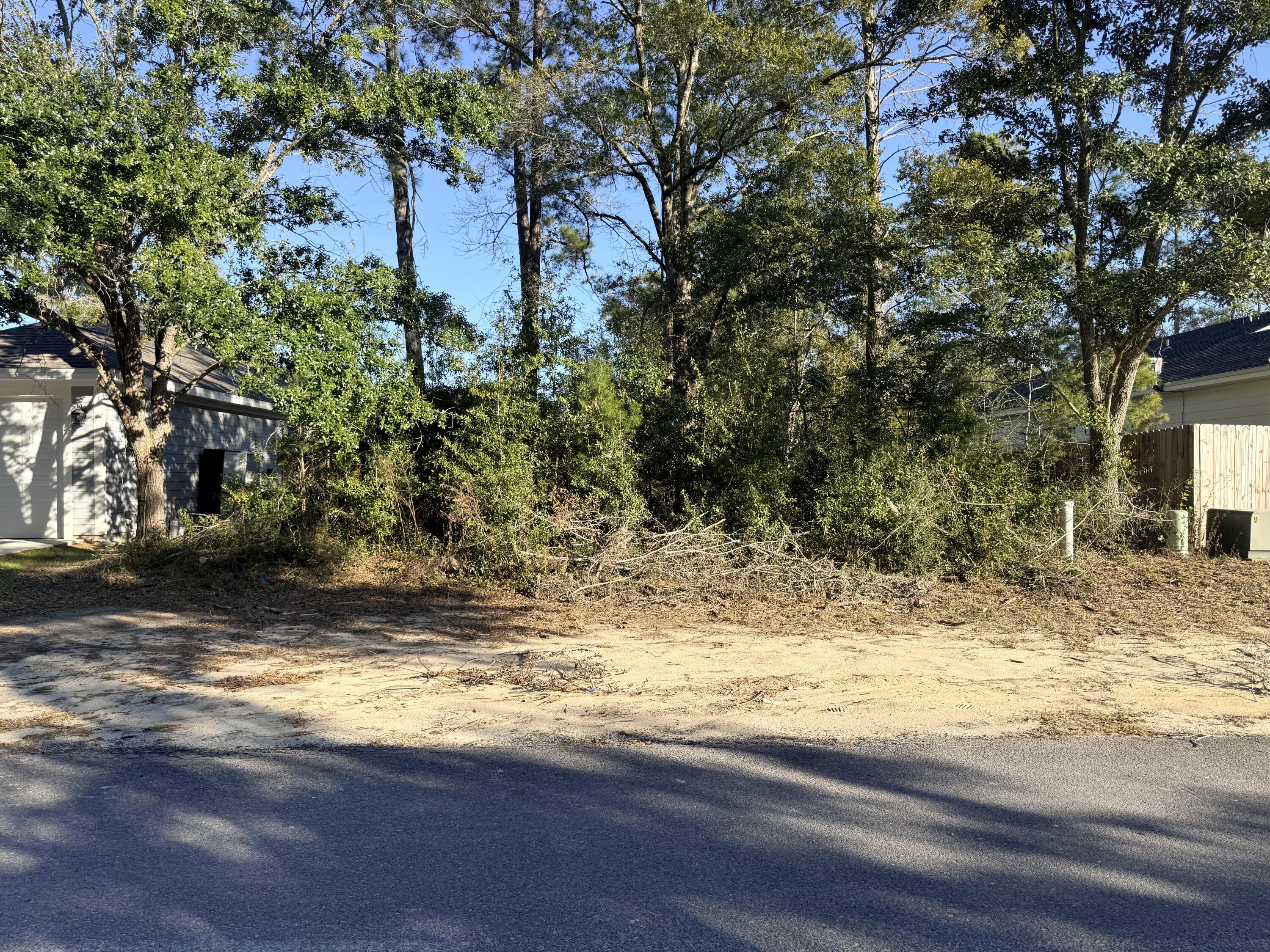 Lot 34 Caswell Branch Road Freeport, FL 32439 - Photo 3 of 4 IMG_2045