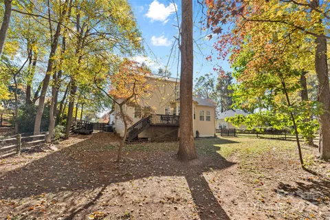a view of a yard with plants in front of it