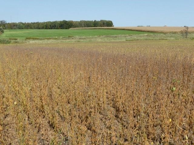 0 County Road Edgar, WI 54426 - Photo 1 of 1