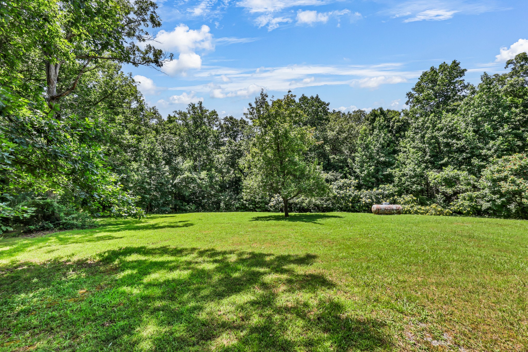 931 Bumpus Mills Road Dover, TN 37058 - Photo 36 of 53 Gallery Image 36