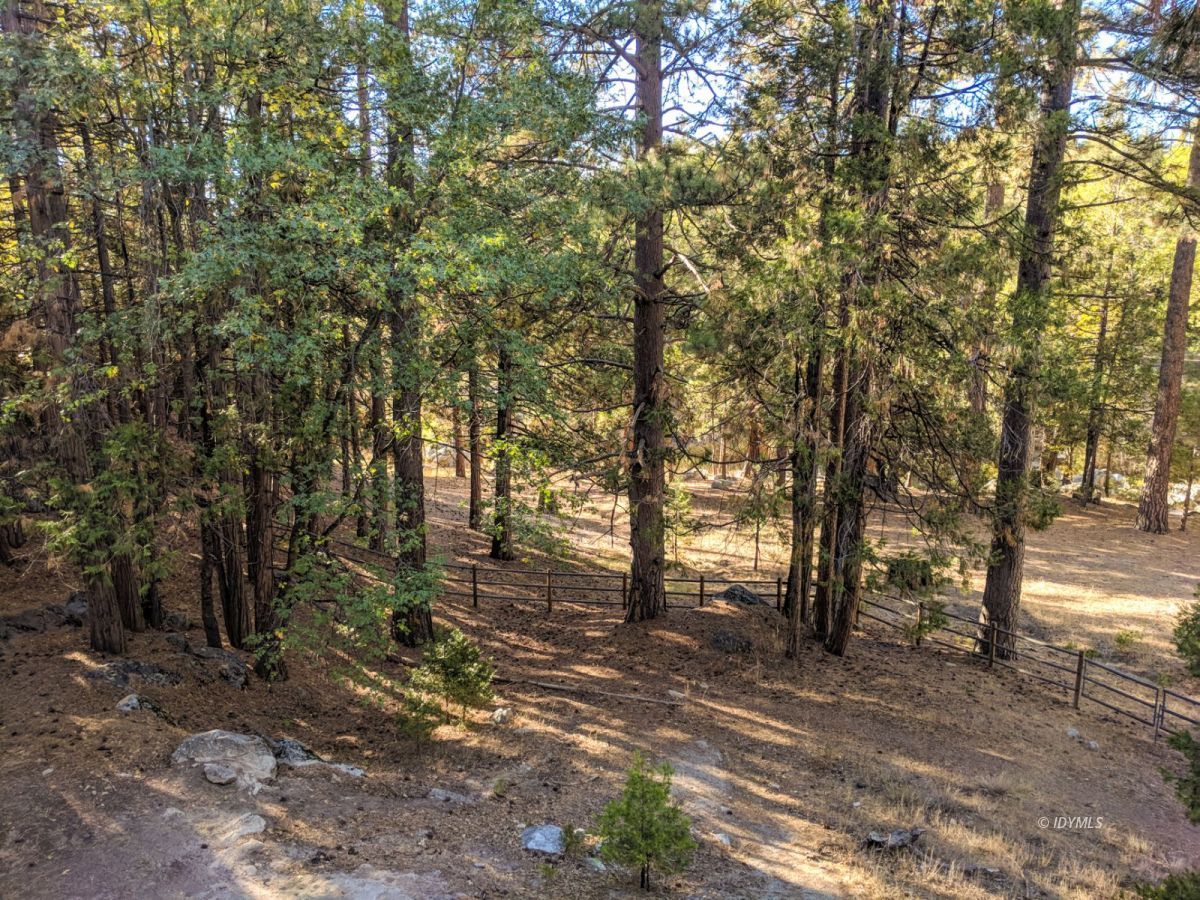 52550 Idyllmont Road Idyllwild, CA 92549 - Photo 27 of 73 a view of outdoor space with trees