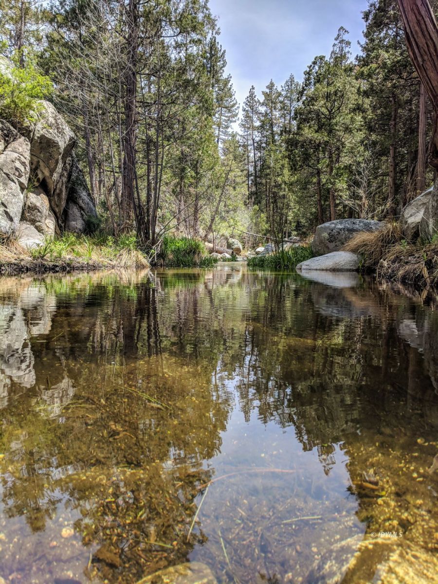 52550 Idyllmont Road Idyllwild, CA 92549 - Photo 54 of 73 Untitled
