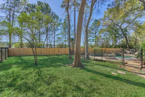 a view of a park with a large tree