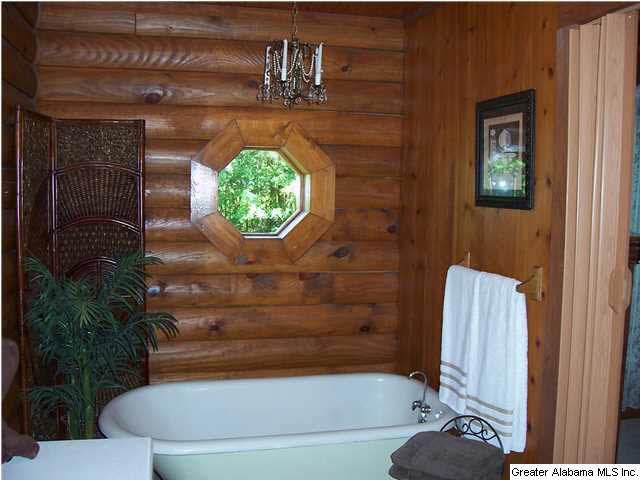 200 Quails Nest Road Odenville, AL 35120 - Photo 15 of 22