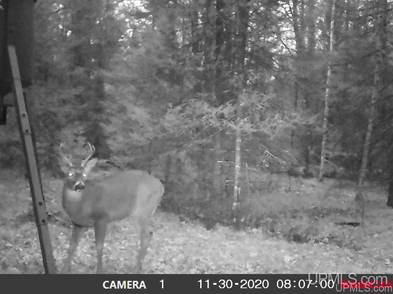 Co Road Daggett, MI 49887 - Photo 3 of 12