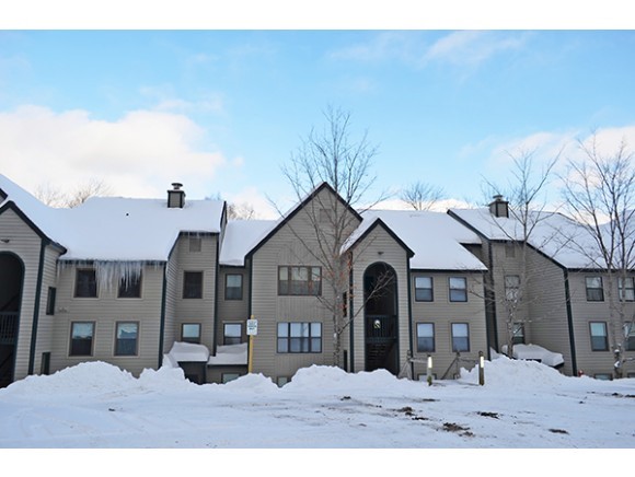 28 Fowler Road, Unit N106 Ludlow, VT 05149 - Photo 1 of 1 Gallery Image 1