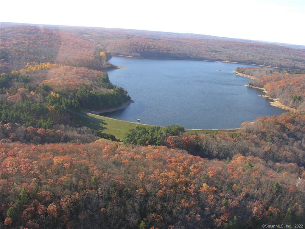 114 Daniel Trace Burlington, CT 06013 - Photo 16 of 30 a view of a lake in middle of the field