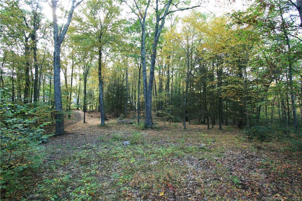 114 Daniel Trace Burlington, CT 06013 - Photo 7 of 30 a view of outdoor space and green space