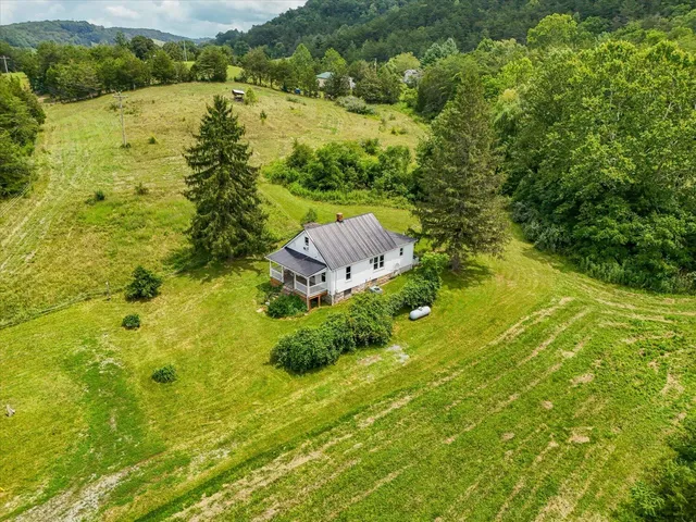 a view of a yard with plants and large trees