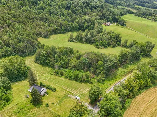 a view of a lush green hillside and houses
