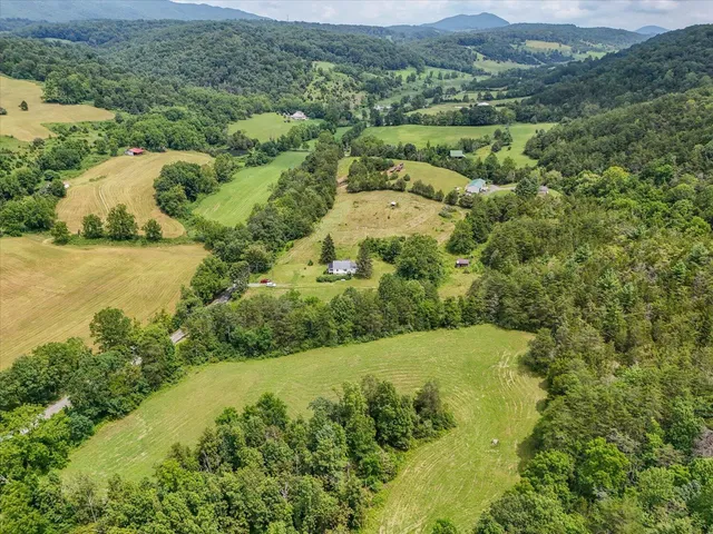 a view of a lush green forest with lots of trees