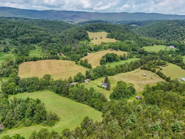a view of a lush green hillside and a houses