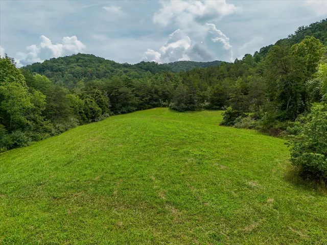 a view of a grassy field with trees