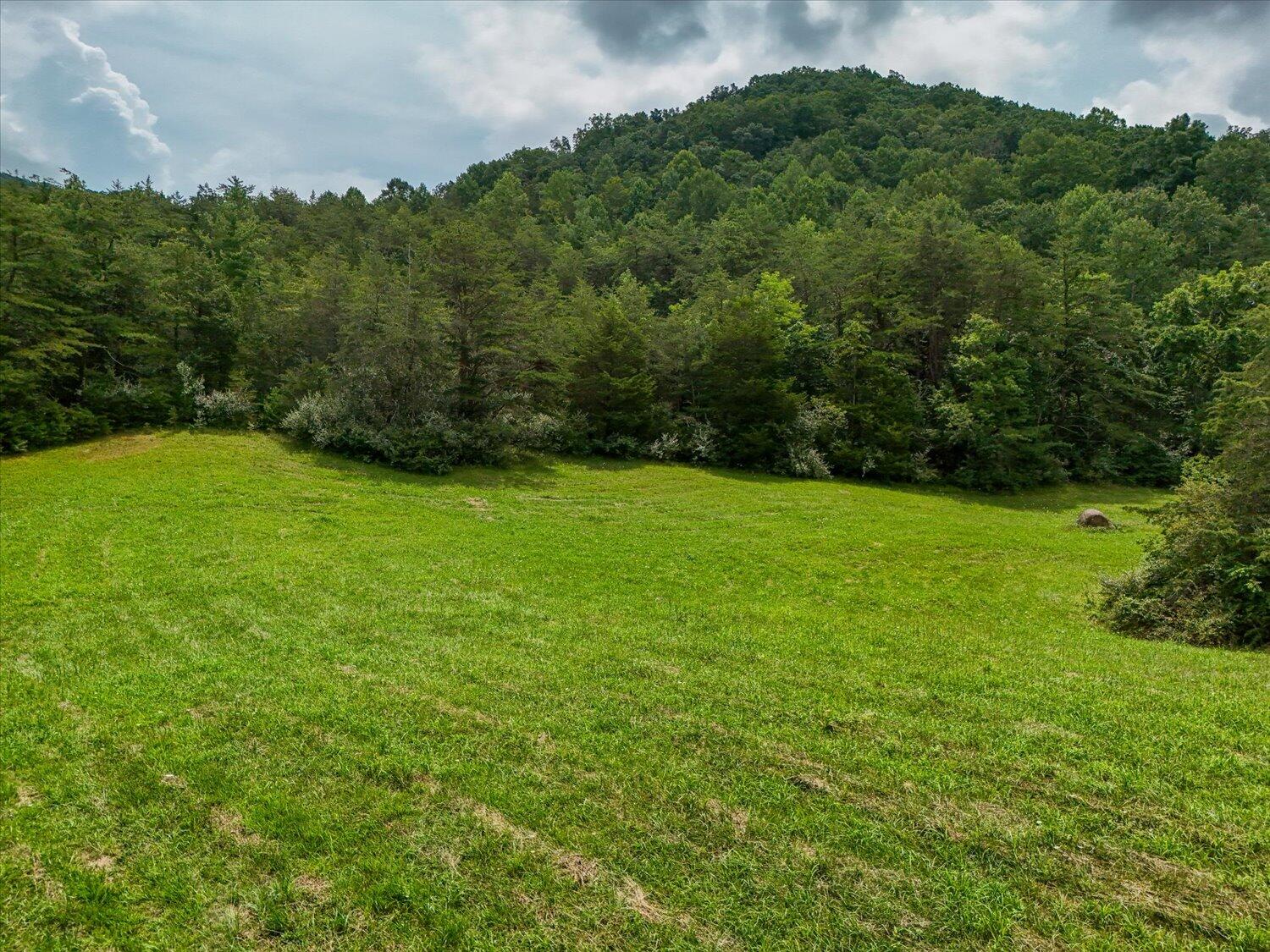 8580 Blacksburg Road Catawba, VA 24070 - Photo 43 of 50 43-8580 Blacksburg-43