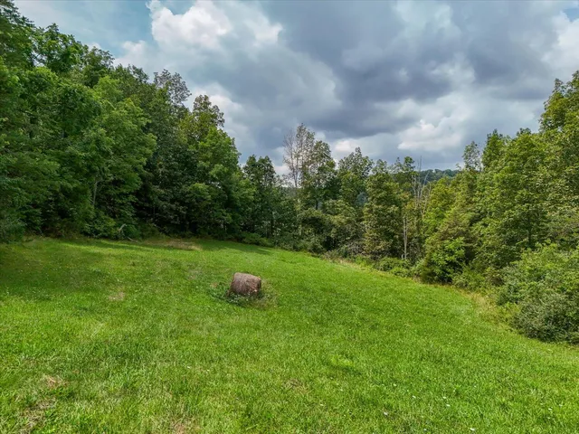 a view of a lush green forest with trees and some houses