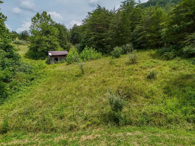 a view of a backyard with plants and lake view