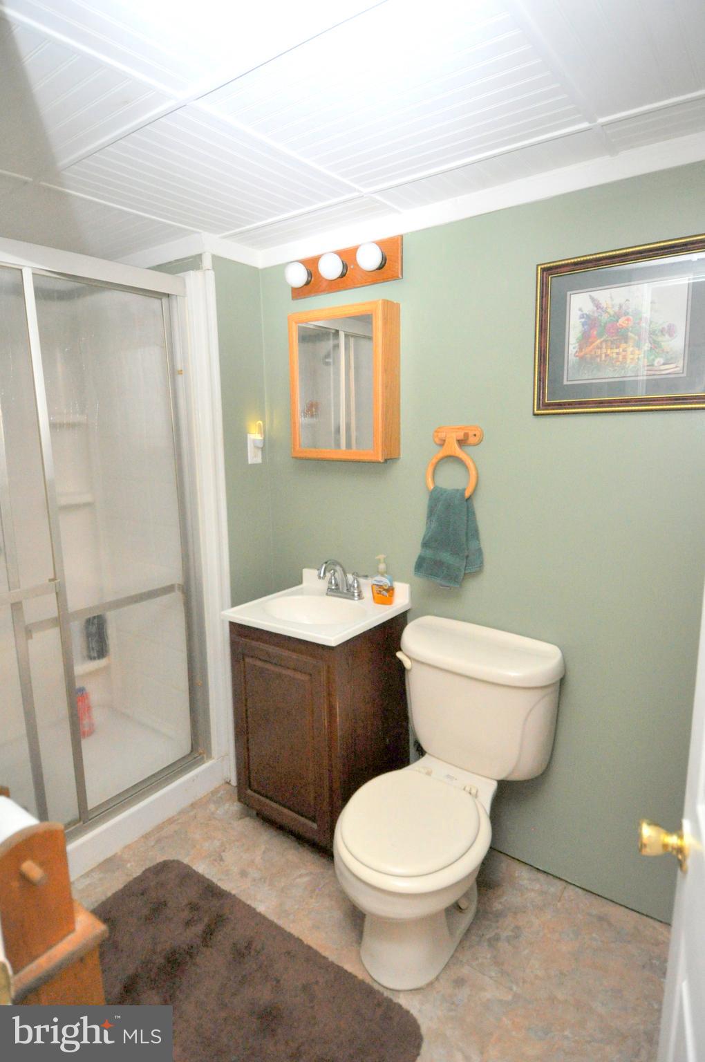 2154 Valley Road Berkeley Springs, WV 25411 - Photo 22 of 30 Bath