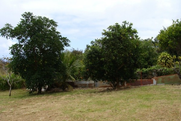 48-5194 Honokaa-Waipio Road Honokaa, HI 96727 - Photo 11 of 20