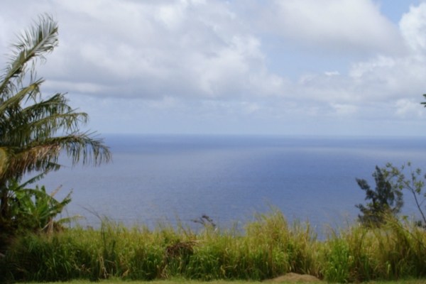 48-5194 Honokaa-Waipio Road Honokaa, HI 96727 - Photo 13 of 20