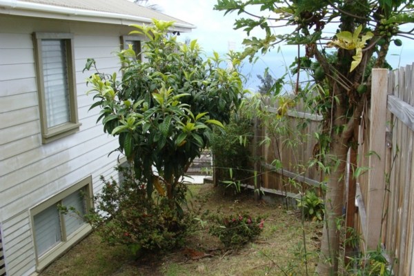 48-5194 Honokaa-Waipio Road Honokaa, HI 96727 - Photo 17 of 20