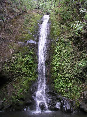 48-5194 Honokaa-Waipio Road Honokaa, HI 96727 - Photo 20 of 20