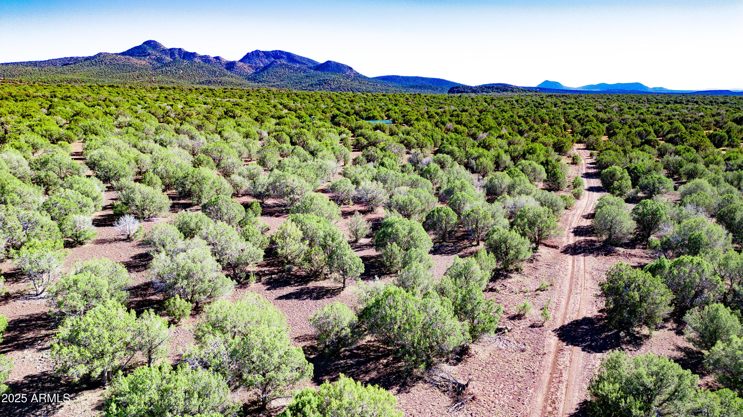 17375 Beale Wagon Road, Unit 458 AND 457 Williams, AZ 86046 - Photo 35 of 37 drone superview