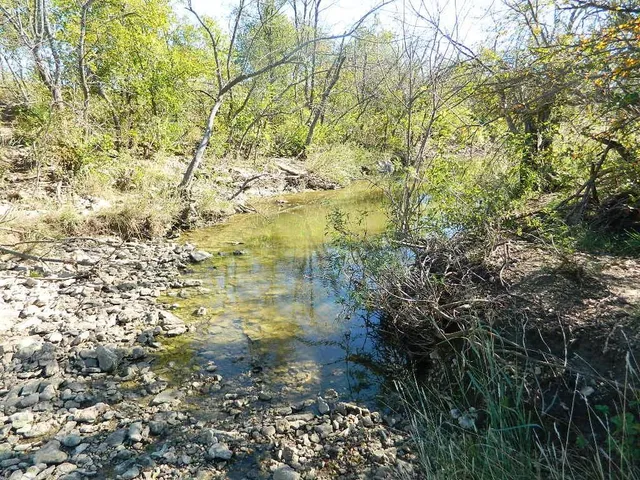 a view of a lake in middle of forest