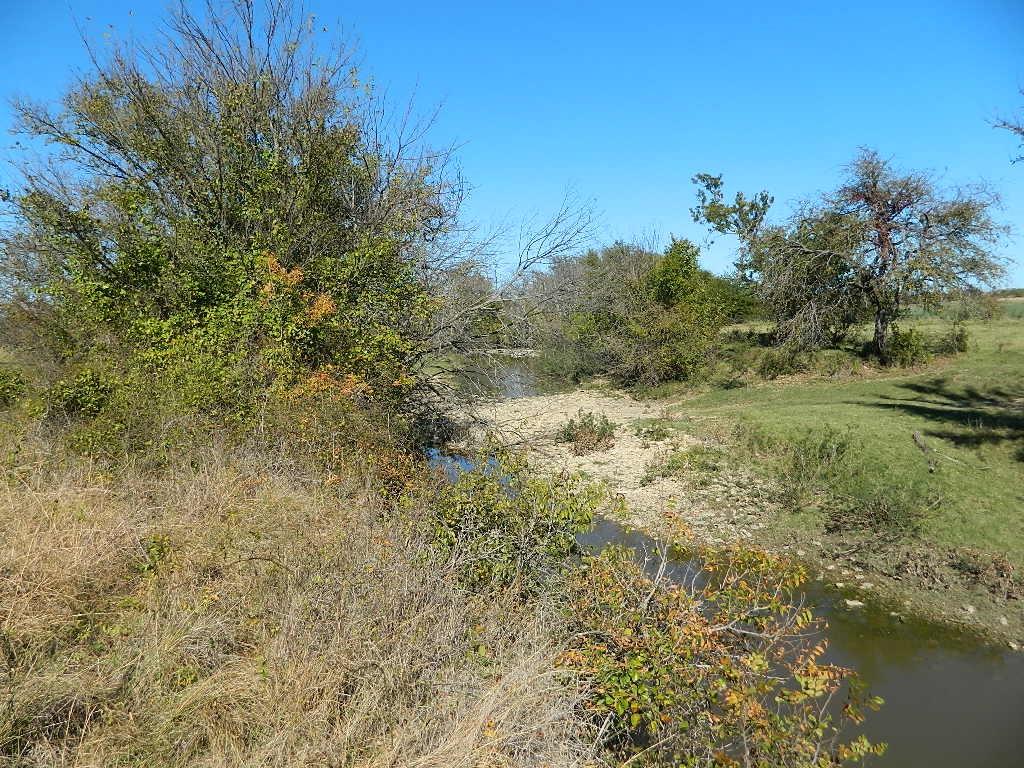 2435 County Road 247 Valley View, TX 76272 - Photo 16 of 40 a view of a yard with a tree